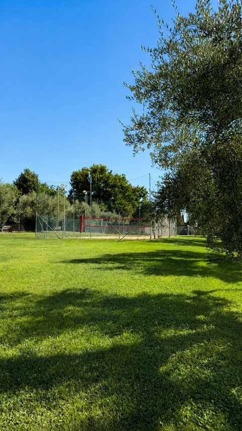 Campo da beach volley immerso nel verde di Spazio